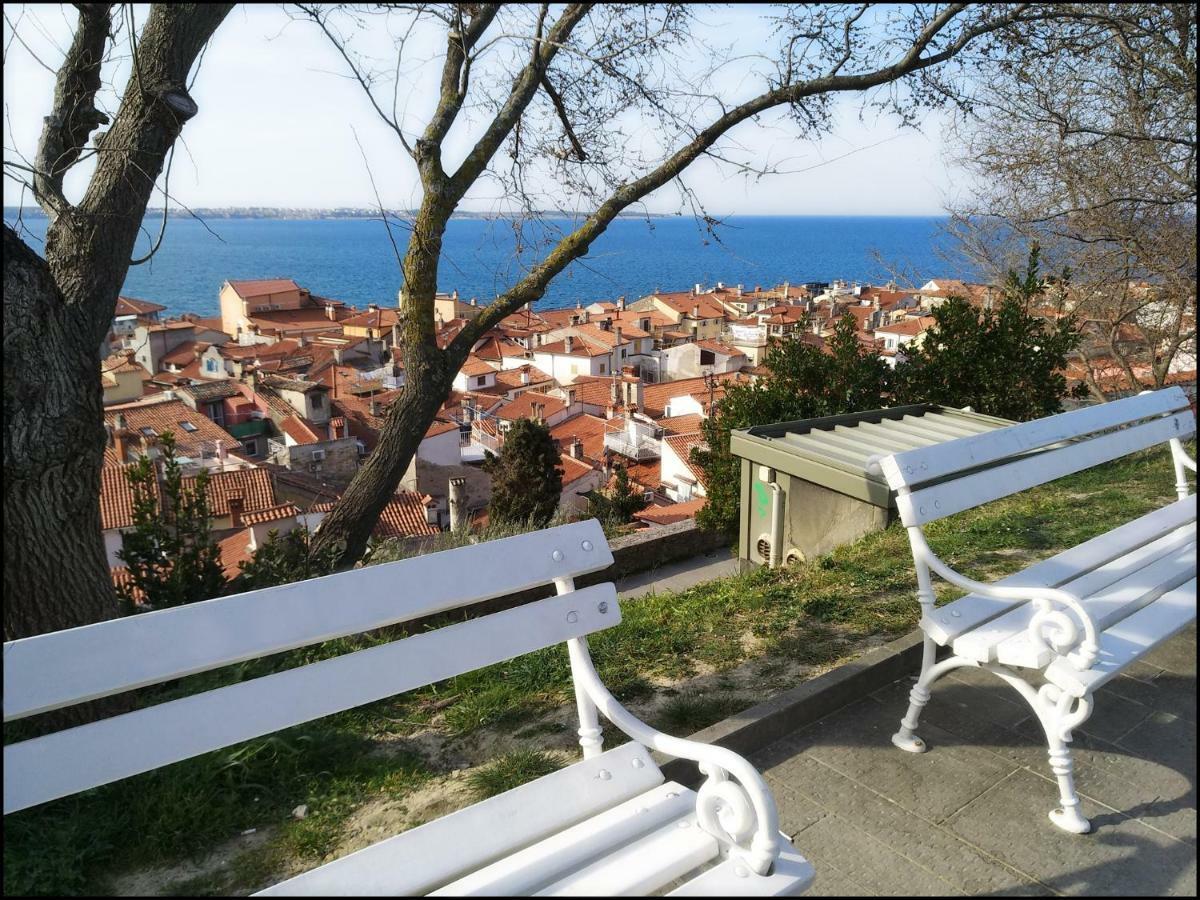Casa Vacanze Enjoy Pirano エクステリア 写真